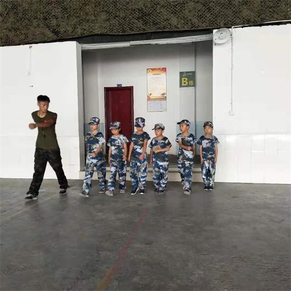 指导教学
