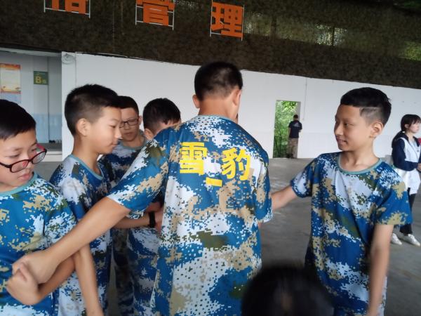 团队拓展活动进行中